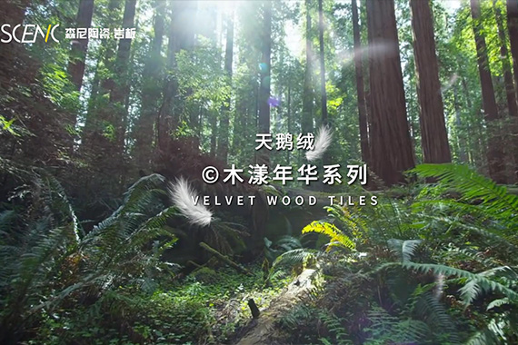 木漾年華系列